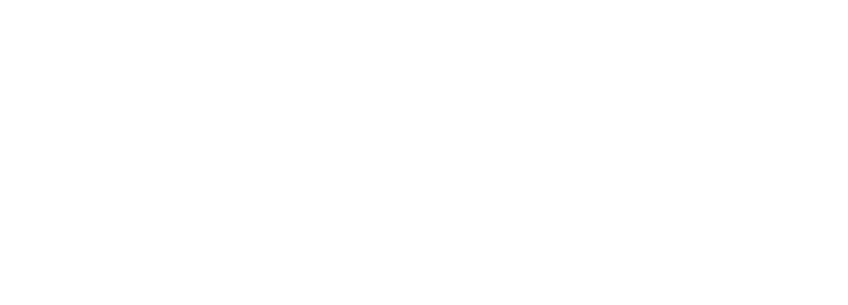 Digital 391 LLC